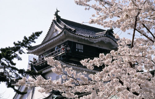 岡崎さくら電力の停電時の対応